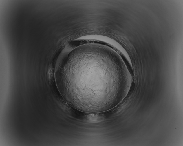 X0000095950623200801111351