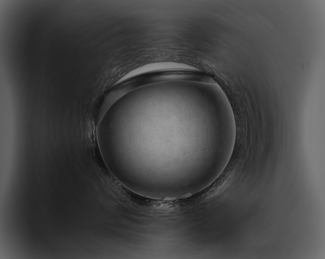 X0000095950624200801111351