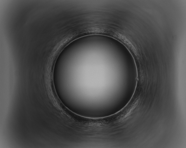 X0000095950625200801111350