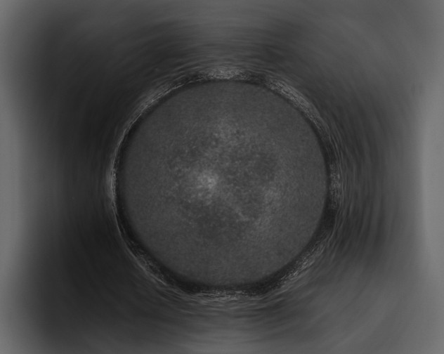 X0000095950626200801111350