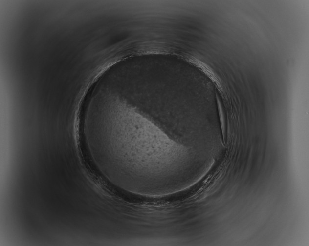 X0000095950627200801111350