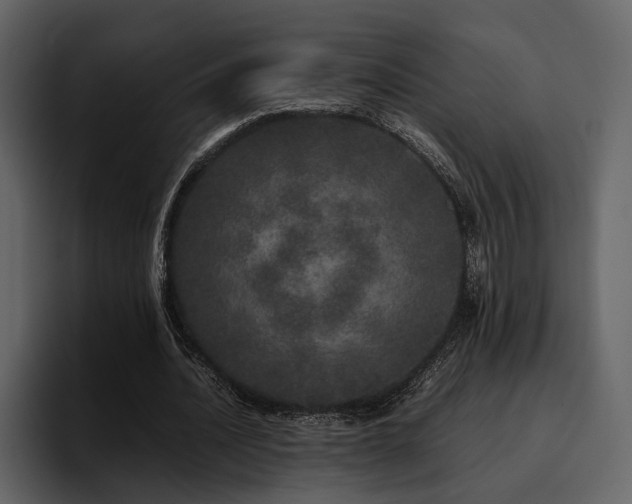 X0000095950628200801111350