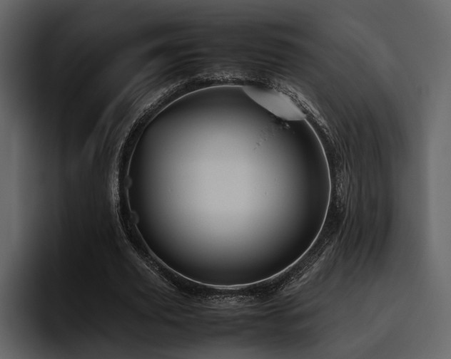 X0000095950629200801111350