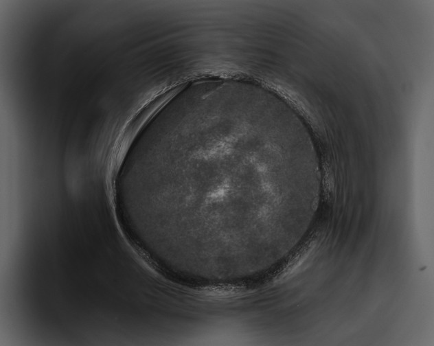X0000095950630200801111350