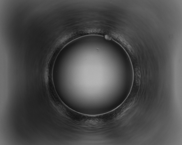 X0000095950631200801111350
