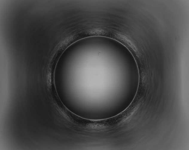 X0000095950633200801111350