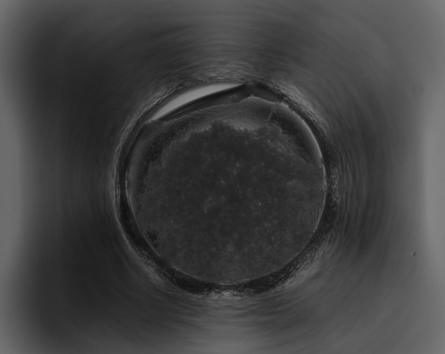 X0000095950634200801111350