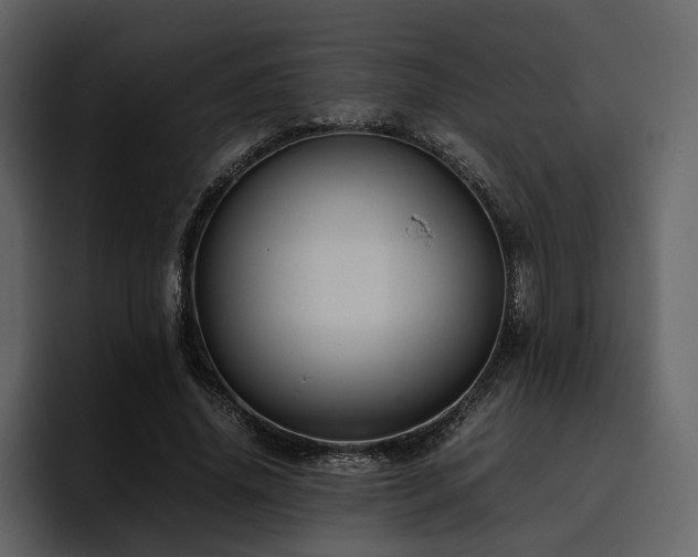 X0000095950636200801111350