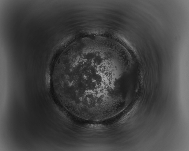 X0000095950637200801111350