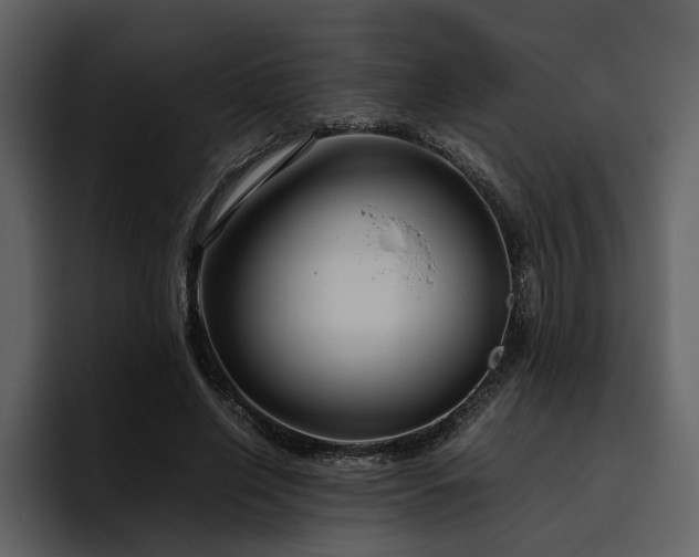 X0000095950638200801111350