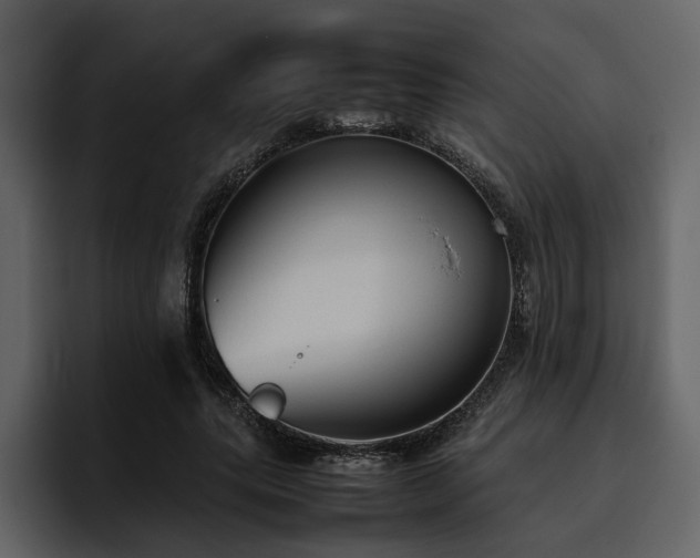X0000095950639200801111350