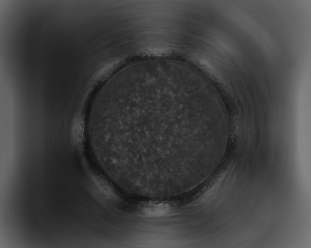 X0000095950640200801111350