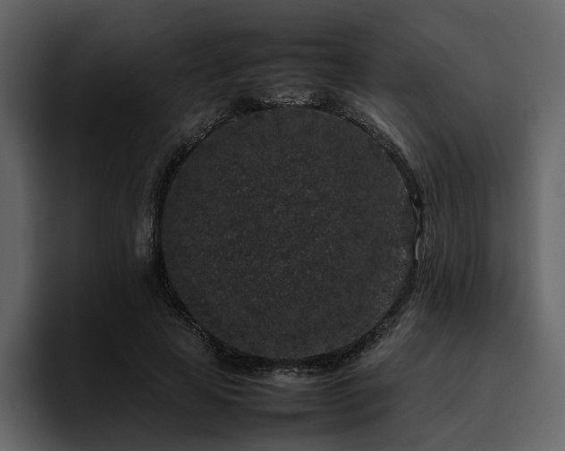 X0000095950641200801111350