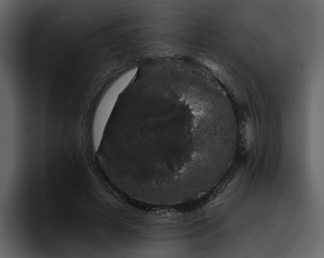 X0000095950642200801111350