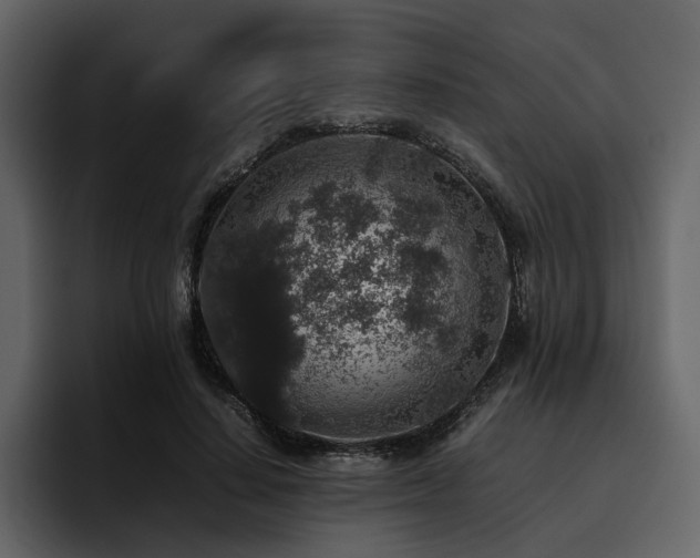 X0000095950644200801111351