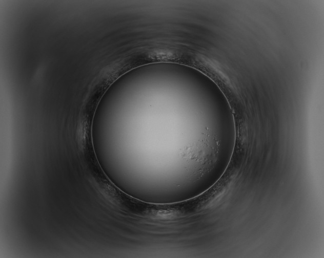 X0000095950645200801111351