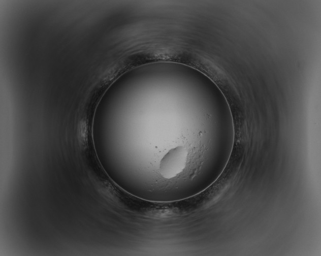 X0000095950646200801111351