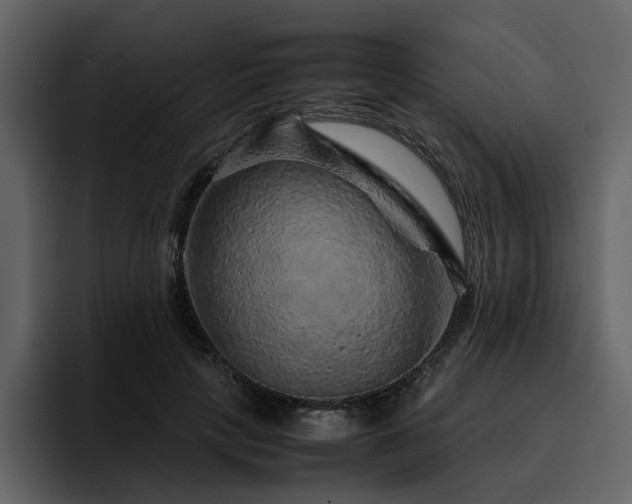 X0000095950649200801111351