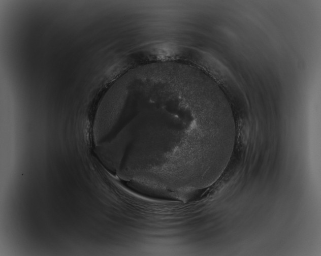 X0000095950650200801111351