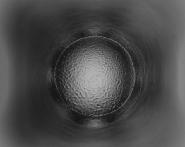 X0000095950651200801111351