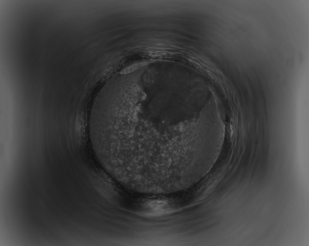 X0000095950653200801111351