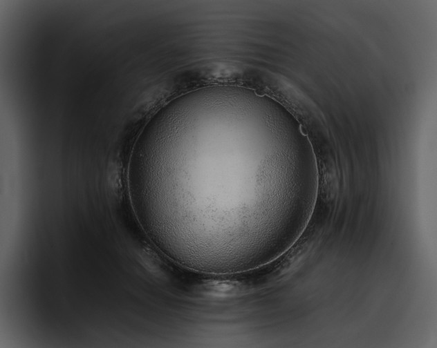 X0000095950654200801111351
