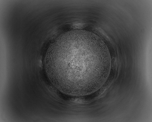 X0000095950655200801111351