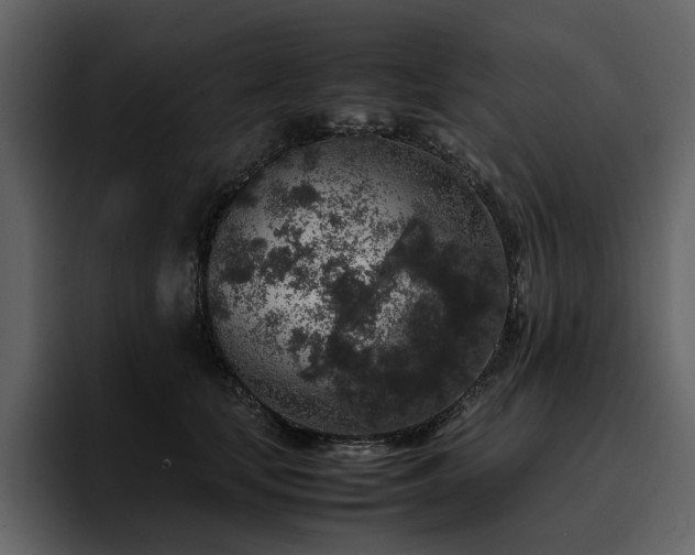 X0000095950659200801111351