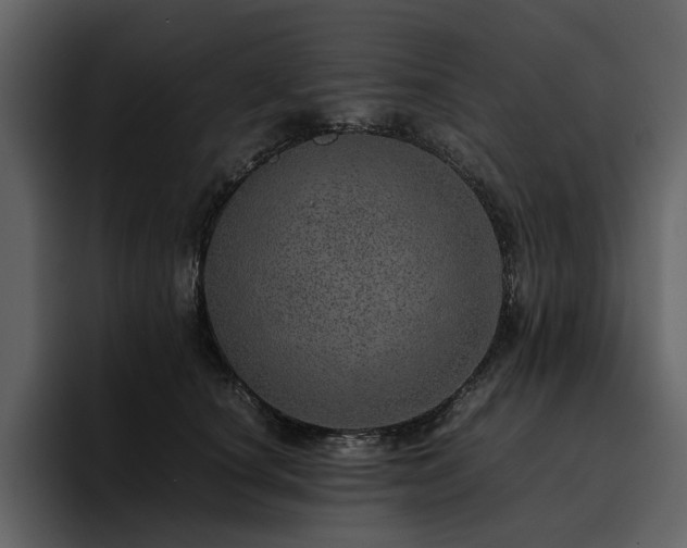 X0000095950660200801111351
