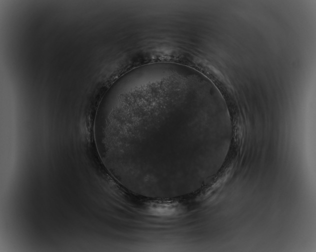 X0000095950661200801111351