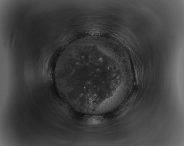 X0000095950663200801111351