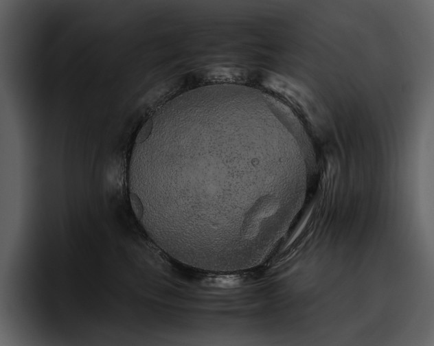 X0000095950665200801111351