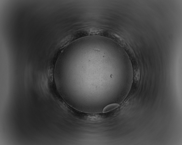 X0000095950666200801111351