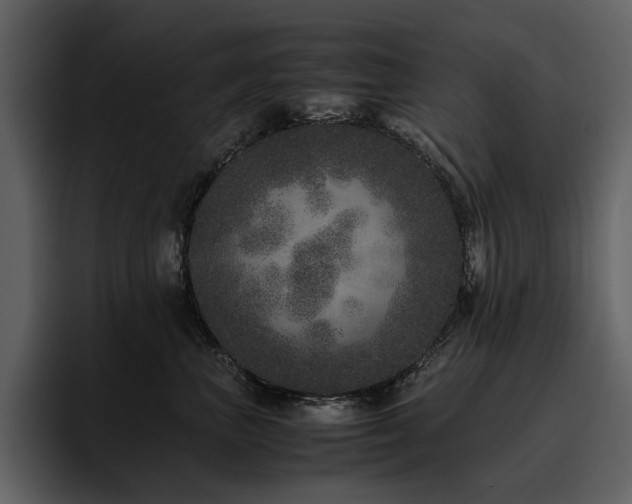 X0000095950667200801111351