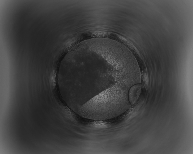 X0000095950668200801111351