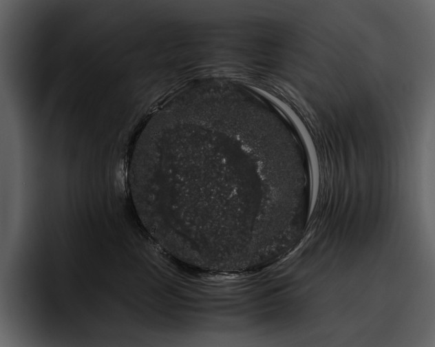 X0000095950669200801111351