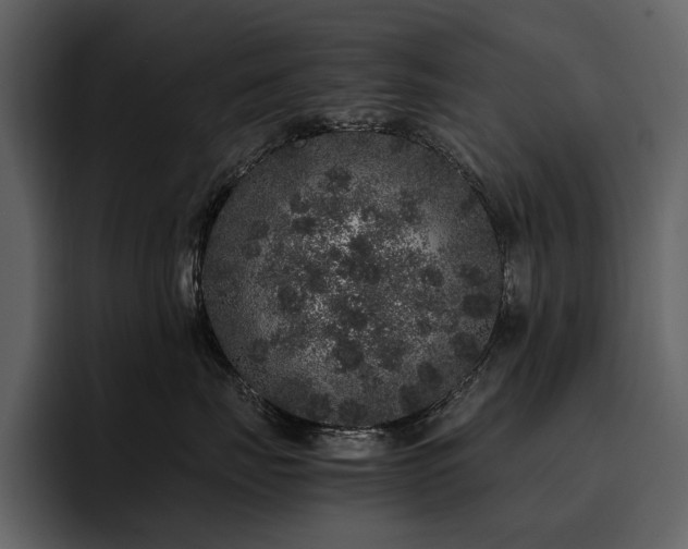 X0000095950671200801111351