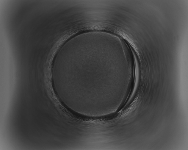 X0000095950673200801111350