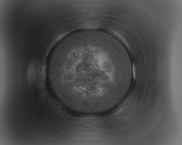 X0000095950675200801111350