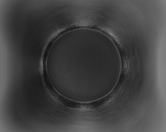 X0000095950678200801111350