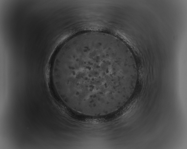 X0000095950679200801111350