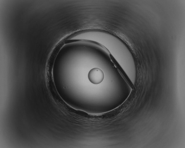 X0000095950680200801111350