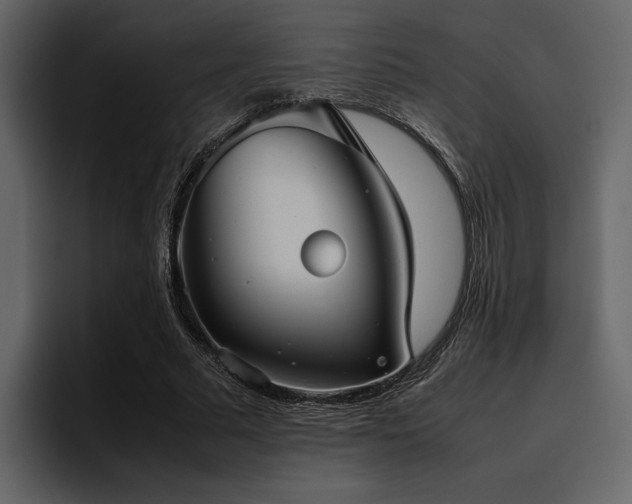 X0000095950681200801111350