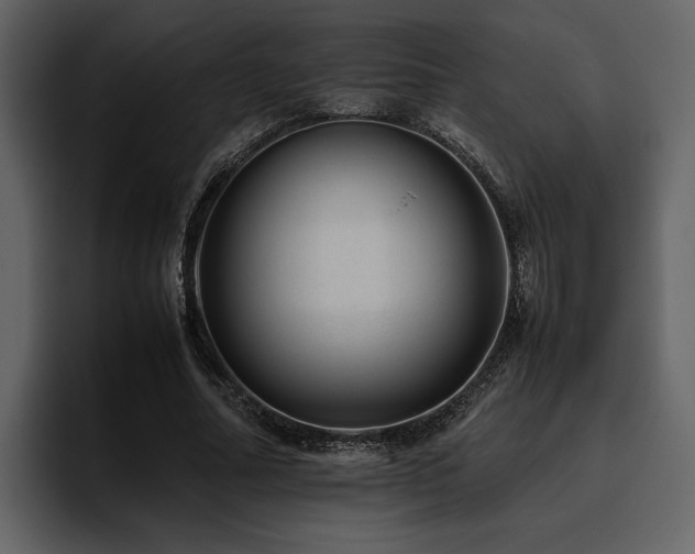 X0000095950682200801111350