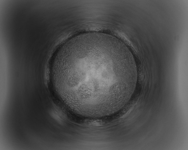 X0000095950683200801111350