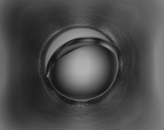X0000095950684200801111350