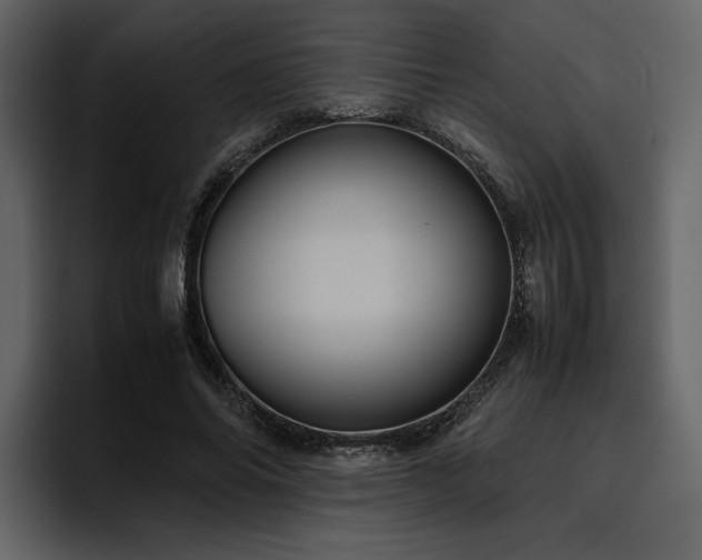 X0000095950686200801111350