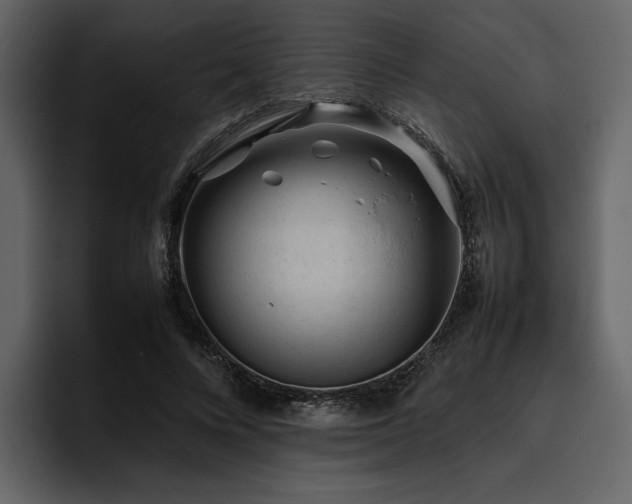 X0000095950688200801111350