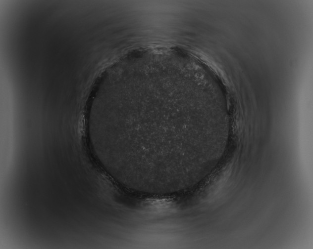 X0000095950689200801111350