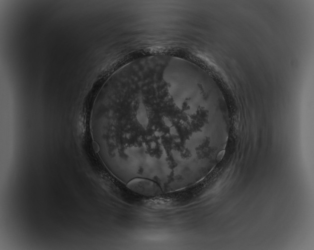X0000095950691200801111350